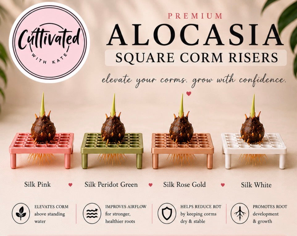 Square Corm Risers ONLY | Set of 10