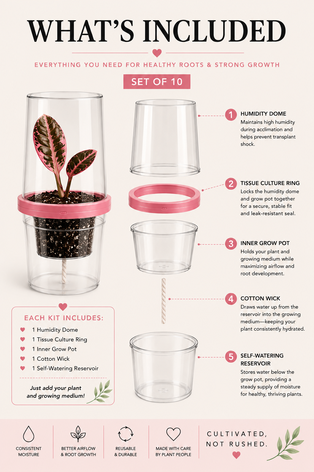 Tissue Culture Self Watering Kit | Set of 10