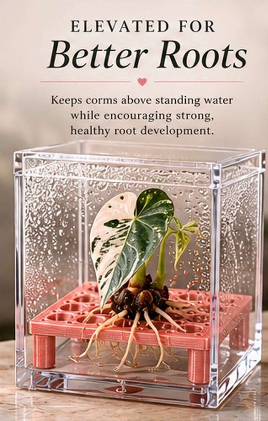 Square Corm Riser Bundle — INCLUDES Risers + Box *updated