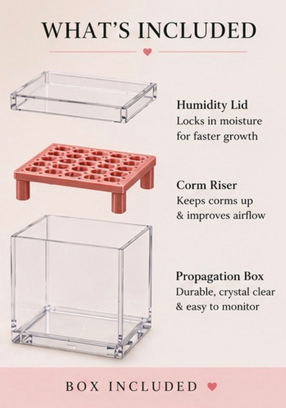 Square Corm Riser Bundle — INCLUDES Risers + Box *updated