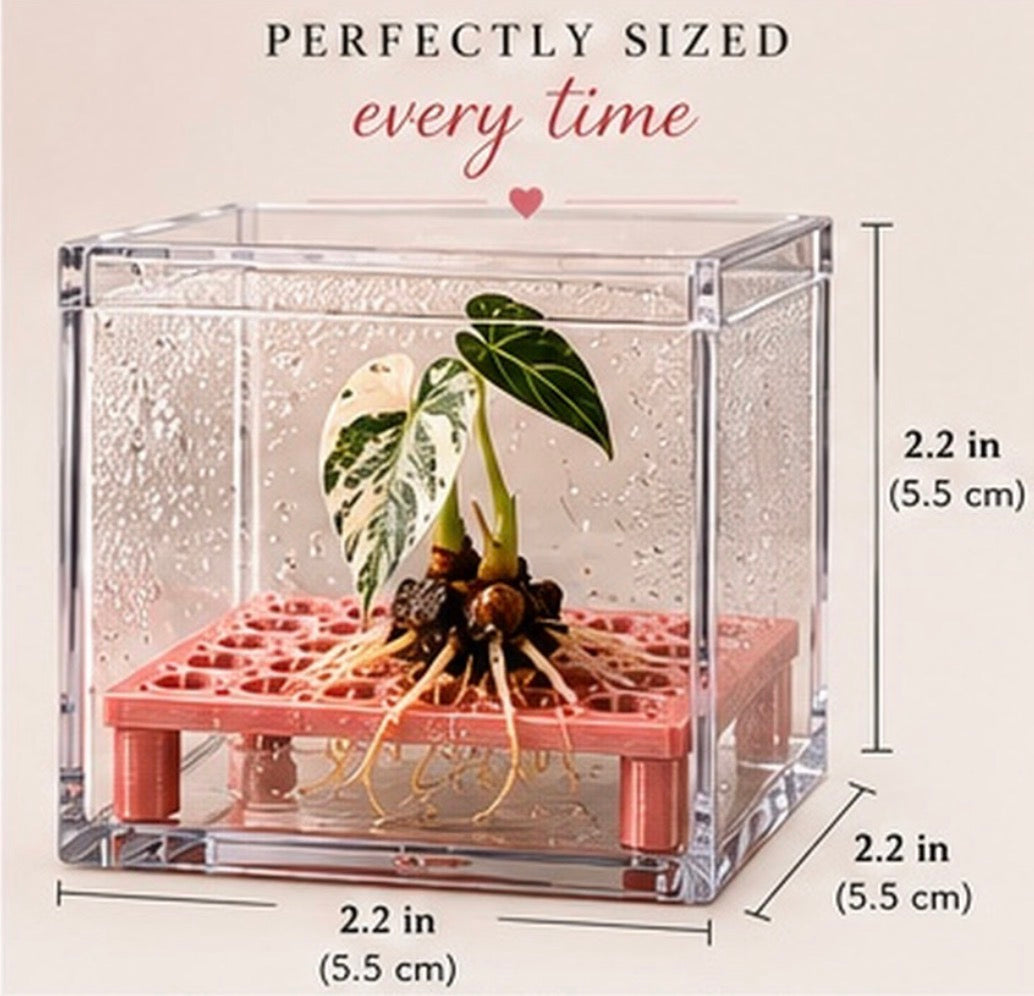 Square Corm Riser Bundle — INCLUDES Risers + Box *updated
