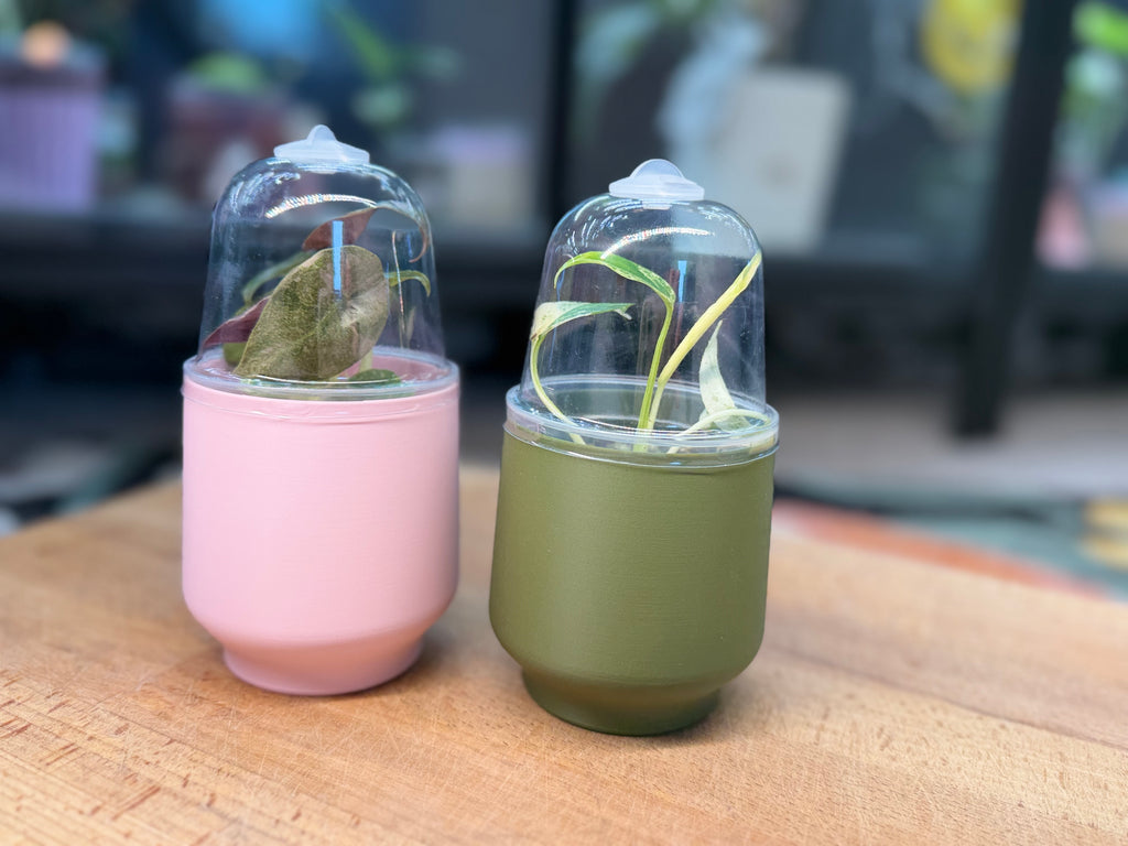 3" Self Watering Cup | Set of 4 | With Insert & Dome