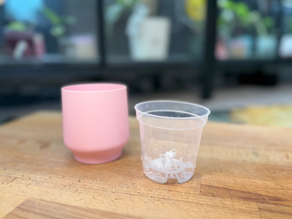 3" Self Watering Cup | Set of 4 | With Insert