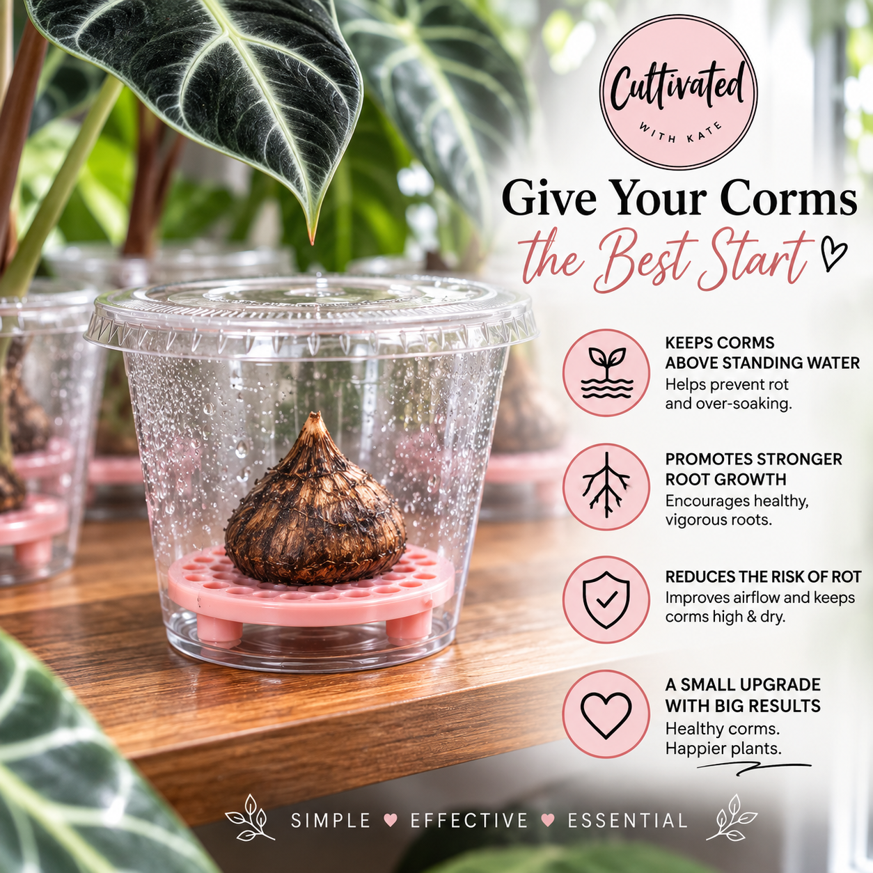 Corm Riser Set | With Cup & Lid | Set of 20