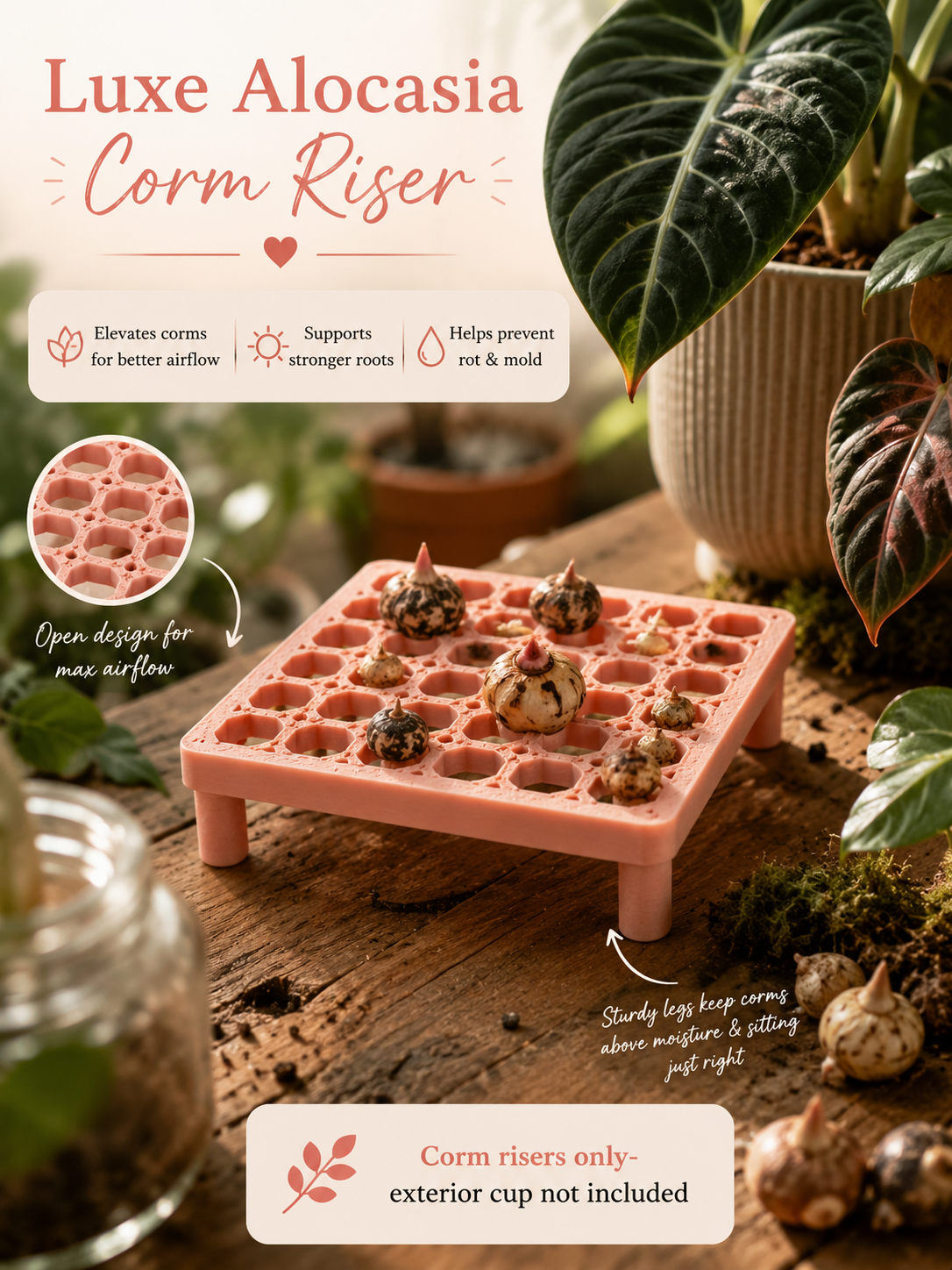 Square Corm Risers ONLY | Set of 10