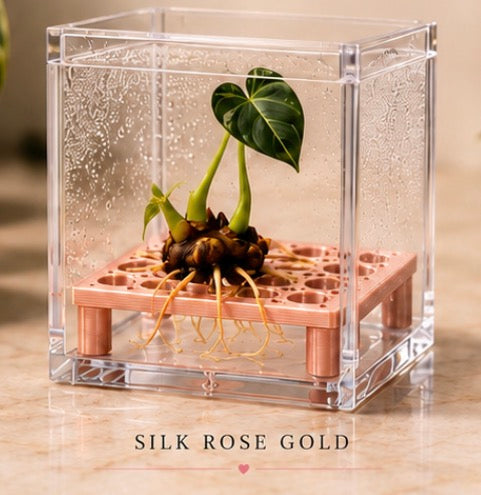 Square Corm Riser Bundle — INCLUDES Risers + Box *updated
