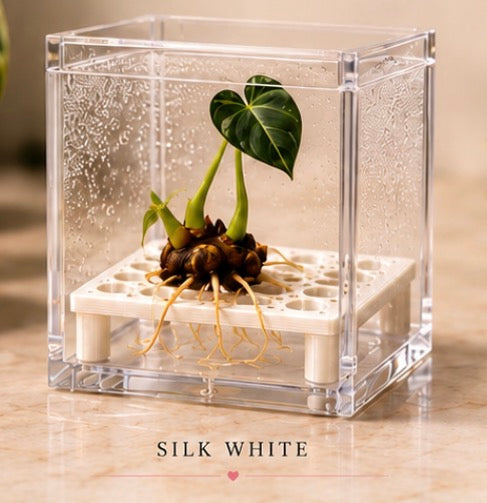 Square Corm Riser Bundle — INCLUDES Risers + Box *updated