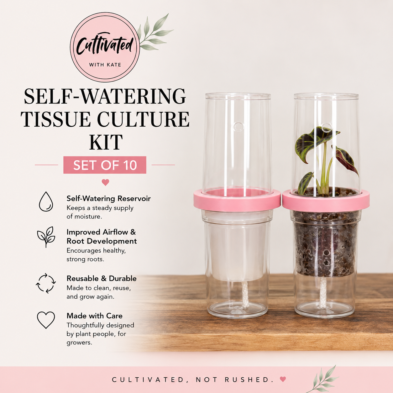 Tissue Culture Self Watering Kit | Set of 10