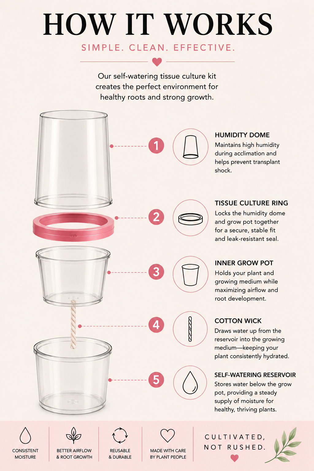 Tissue Culture Self Watering Kit | Set of 10