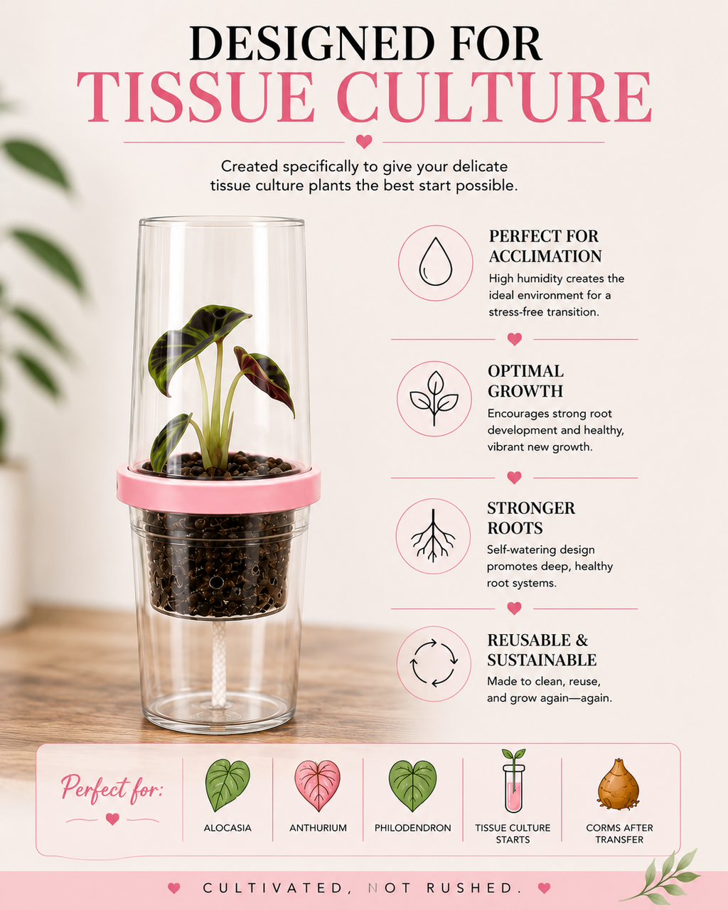 Tissue Culture Self Watering Kit | Set of 10