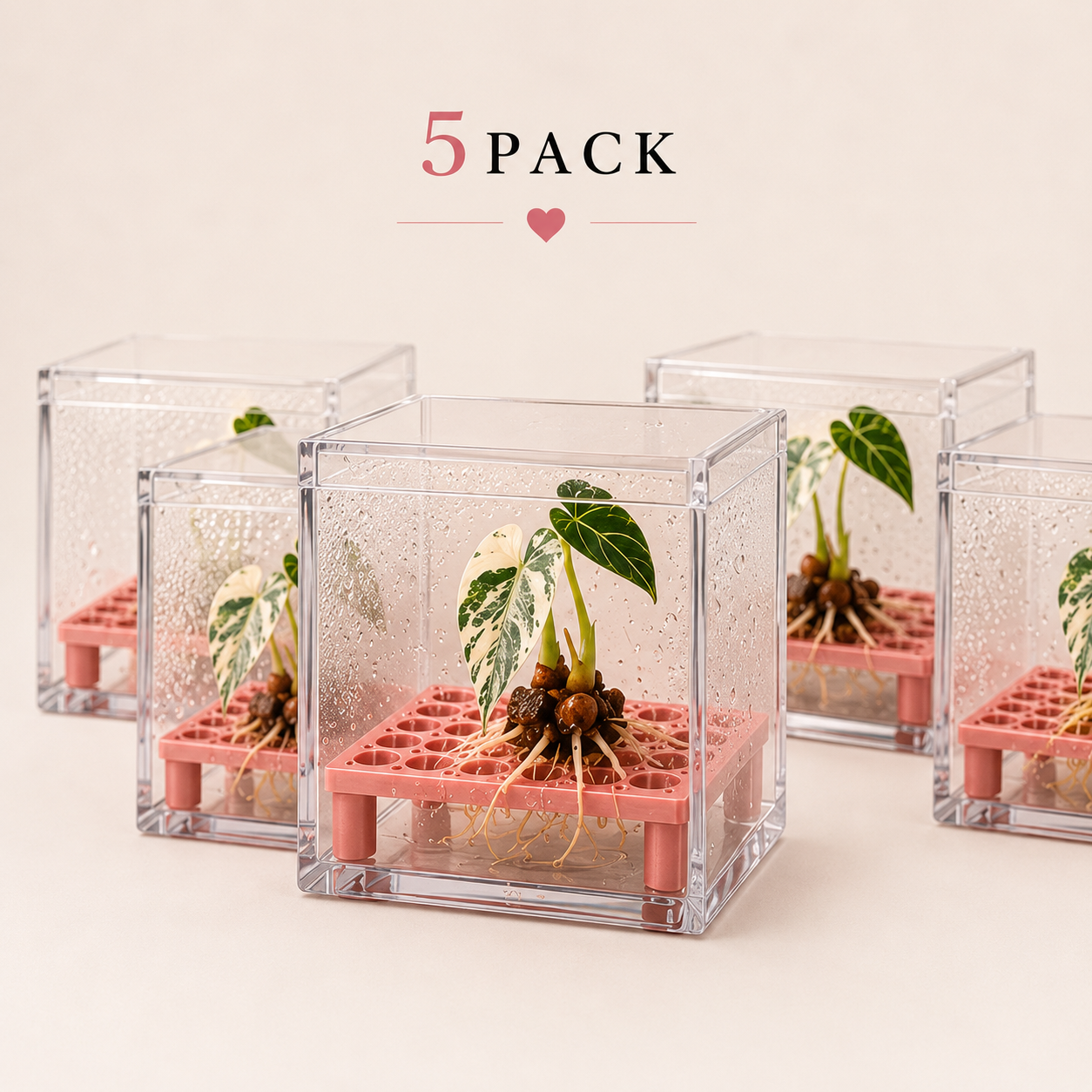 Square Corm Riser Bundle — INCLUDES Risers + Box *updated