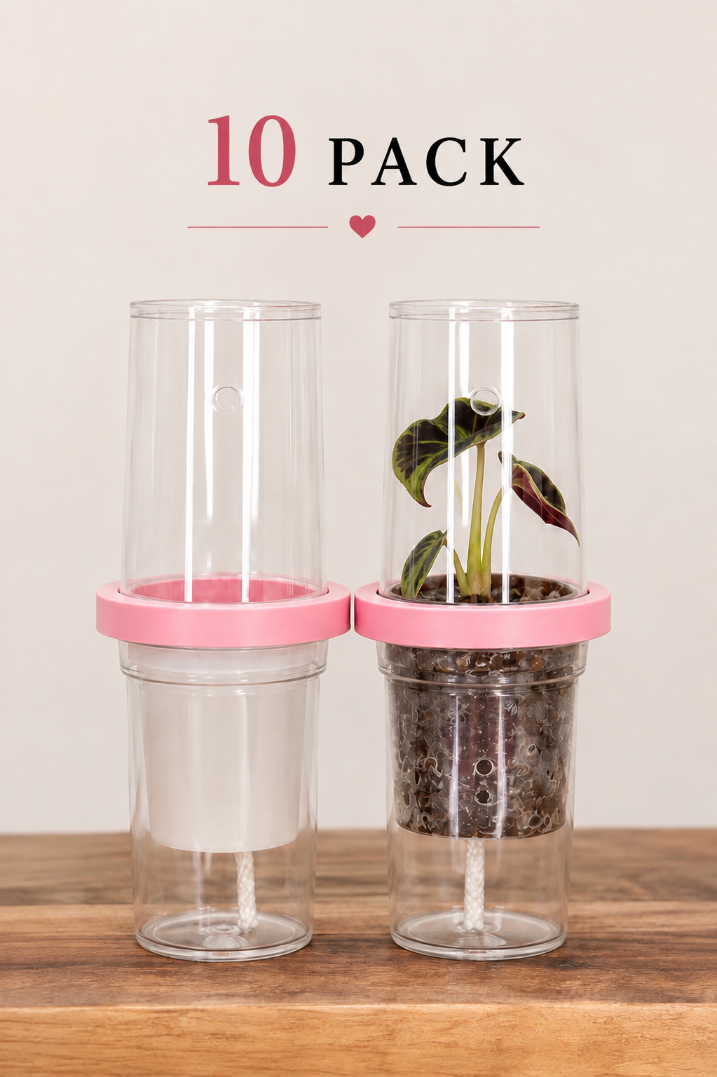 Tissue Culture Self Watering Kit | Set of 10