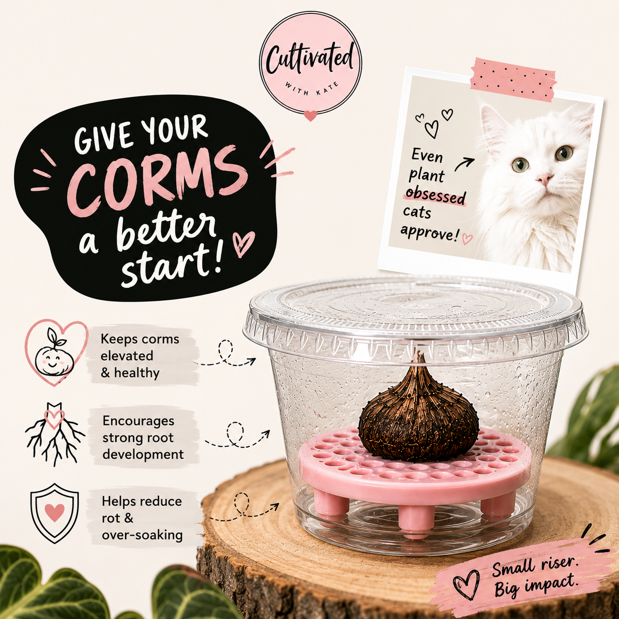 Corm Riser Set | With Cup & Lid | Set of 20