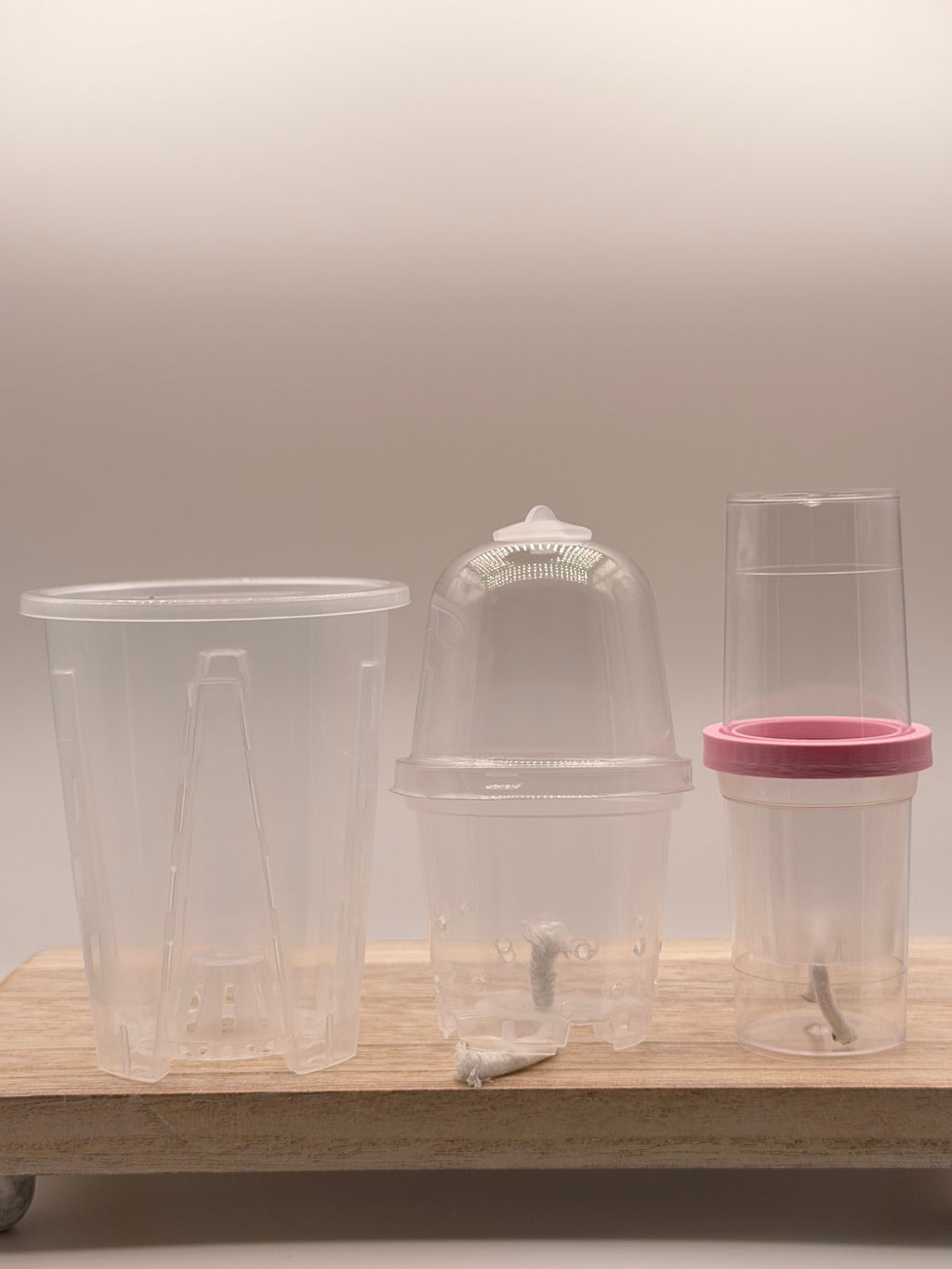 Cultivated Starter Bundle | 4" Cup + 3" Cup + 2" Naked Cup | With Insert & Dome